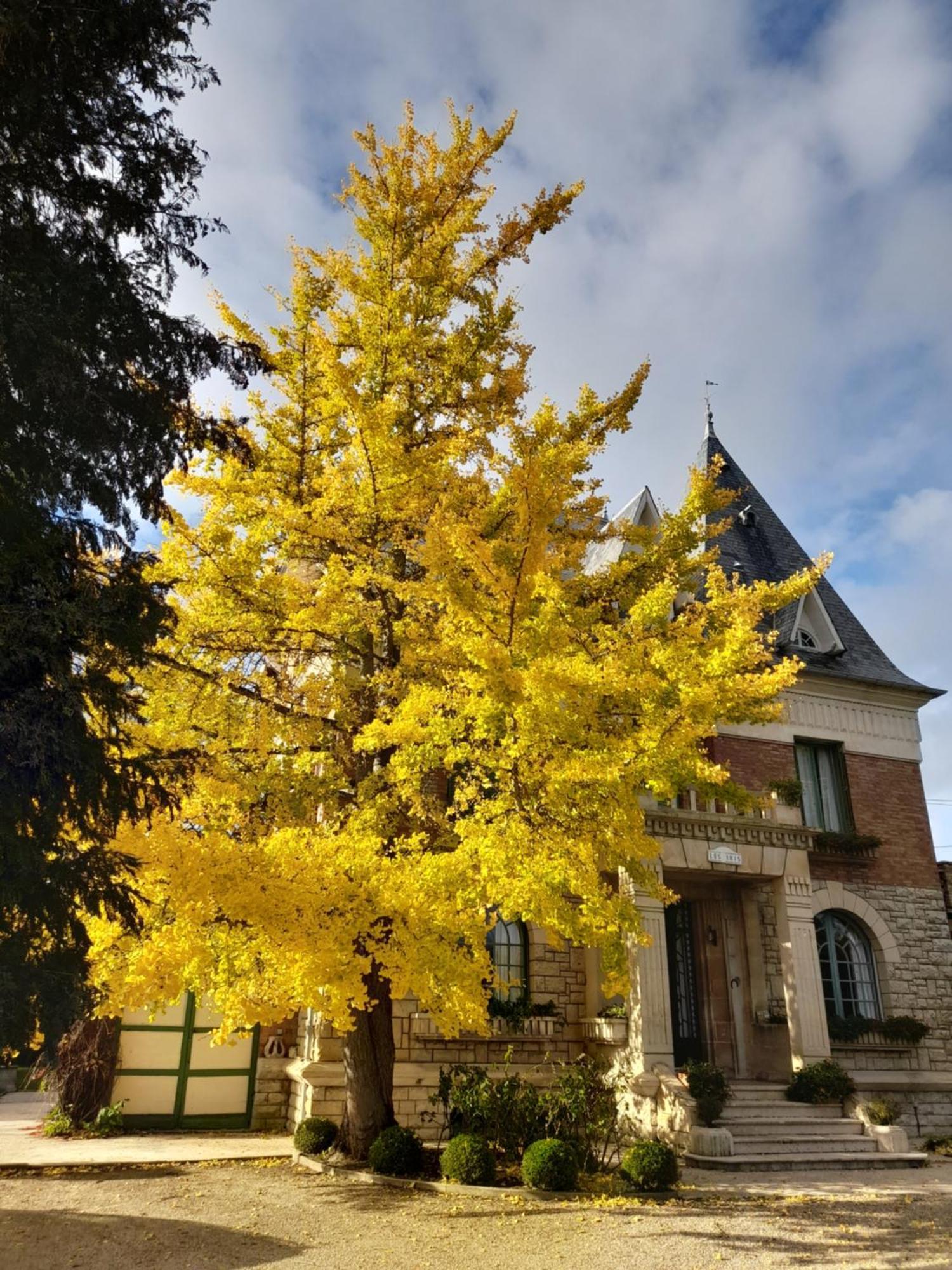 Villa Les Iris Saint-Félix Exterior foto